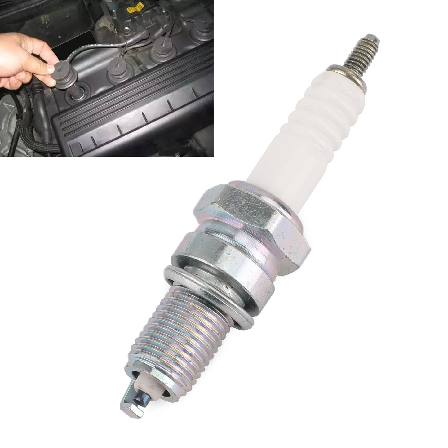 Spark Plug DPR8EA-9 Fit For Honda XL600V Transalp 89-90 XL600R 83-87 VT750C Shadow 1983 VF750C Magna 1988 NSA700A DN-01 2009