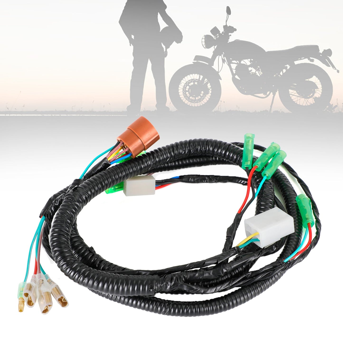 Wiring Harness fit for Honda CT70 K0 / HK0 1969-1971 Champoo